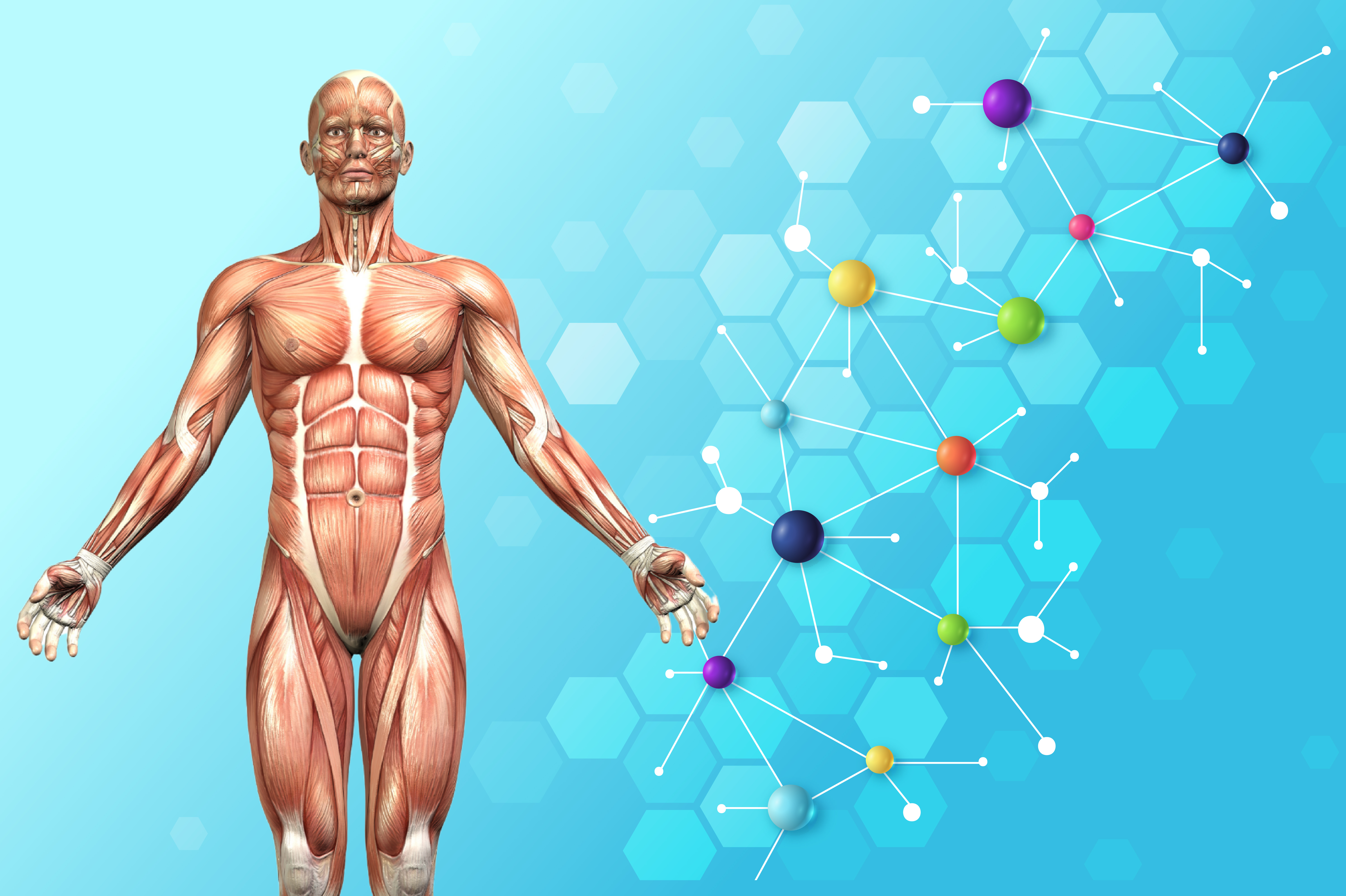 Chemicals Produced In The Human Body