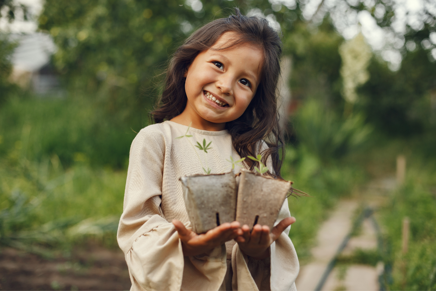 Gardening for beginners