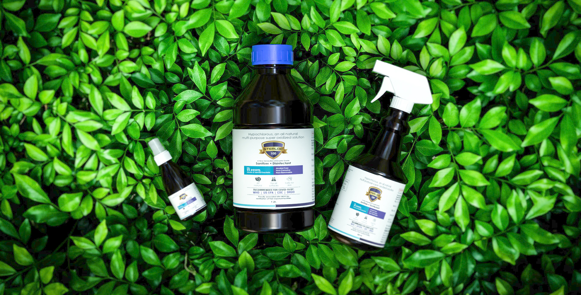disinfectant spray india
